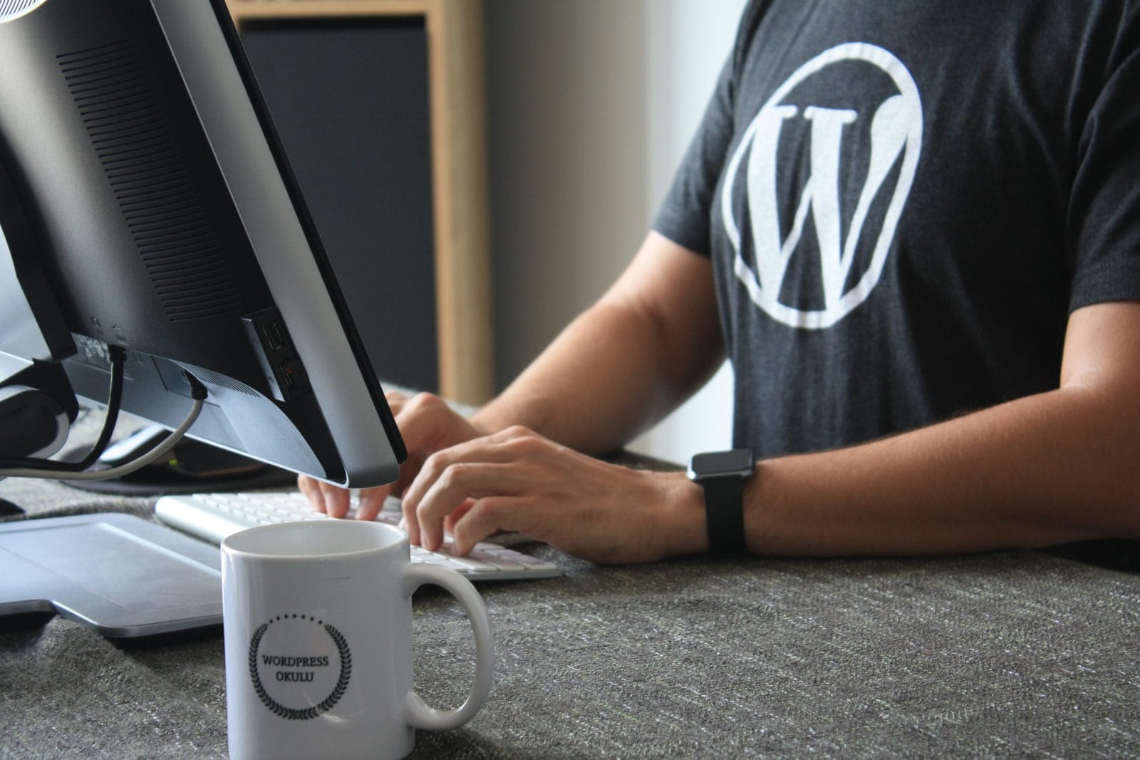 WordPress dashboard showing site maintenance and updates
