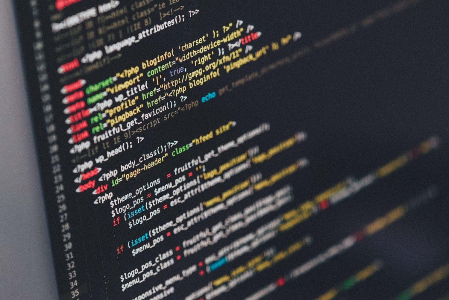 MacBook screen showing WordPress code — custom plugin development